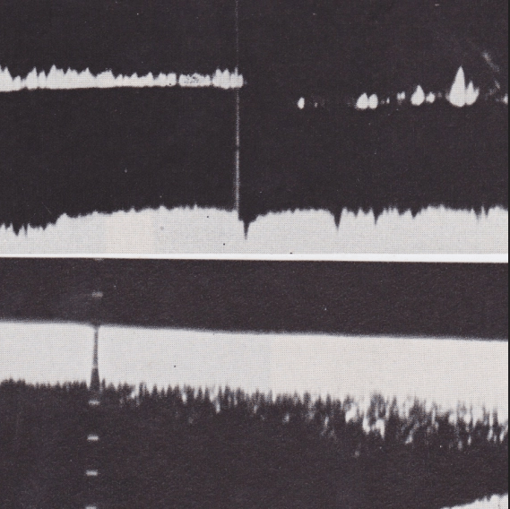 M. Sage ~ Data in the Details / Half-Speed&nbsp;Flourish